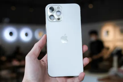 קזינו קרקר בינגו אפליקציה לנייד